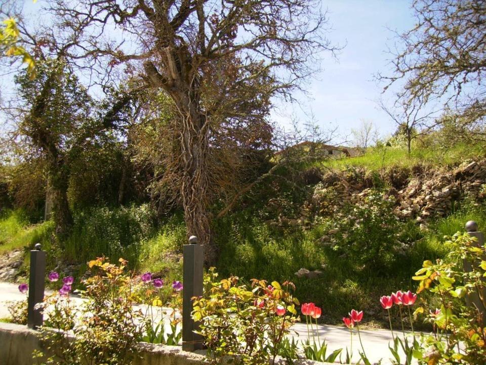 Casa Rural Fuentetrigo Brizuela Exterior foto